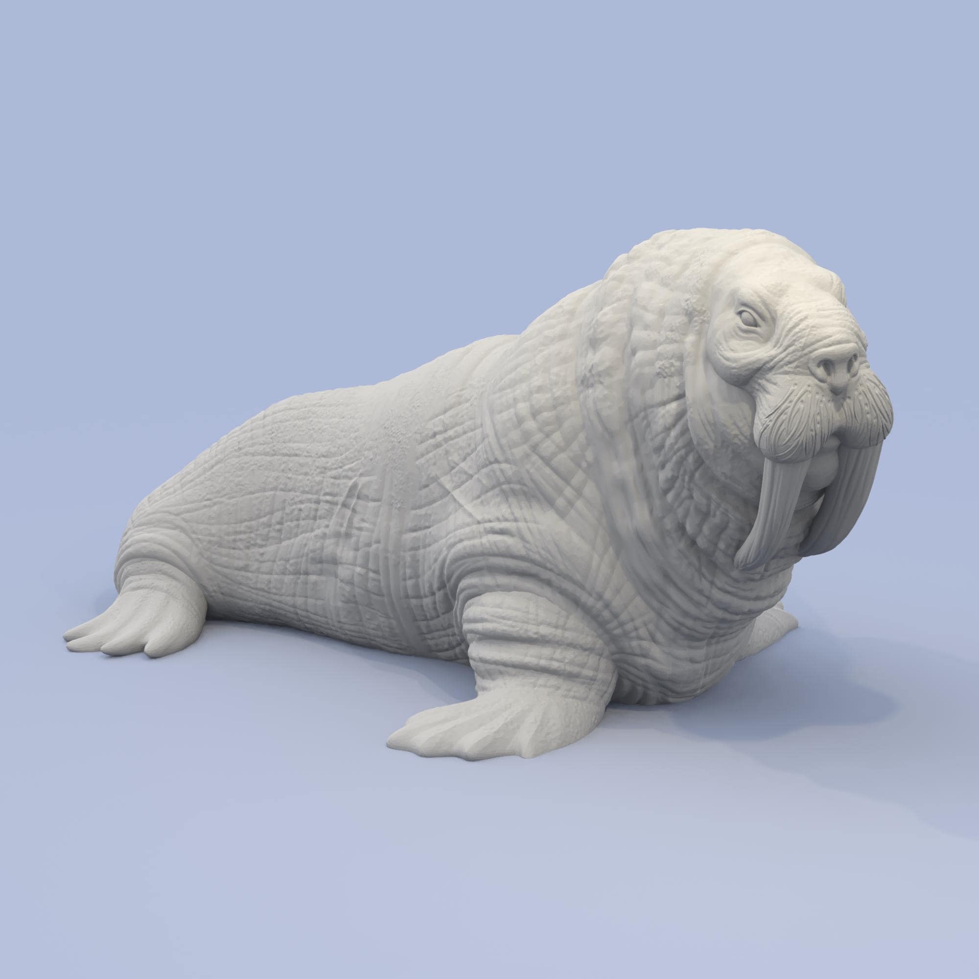 Giant Walrus Miniature for D&D Icewind Dale Terrain 15mm-56mm - Etsy