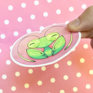 May include: A pink heart-shaped sticker with a green praying mantis inside. The mantis is curled up in a sleeping position with its eyes closed.