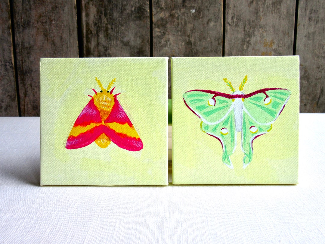 Mini Moths. Paintings Moth Pair Moth Art Set Original Etsy