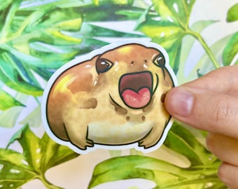 Yawning Rain Frog Sticker | Cute Rain Frog Sticker, Large Vinyl Matte Funny Animal Sticker, Water Bottle Laptop Frog Sticker