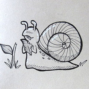 Illustrierte Karte mit Schnecke | Einzigartige Illustration, niedliche Schnecke Zeichnung, wunderliche Schnecke Illustration, Cottagecore Karte mit Tinte