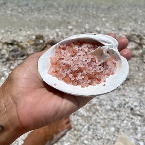 Peut inclure: Un coquillage blanc rempli de sel rose de l'Himalaya sur une plage.