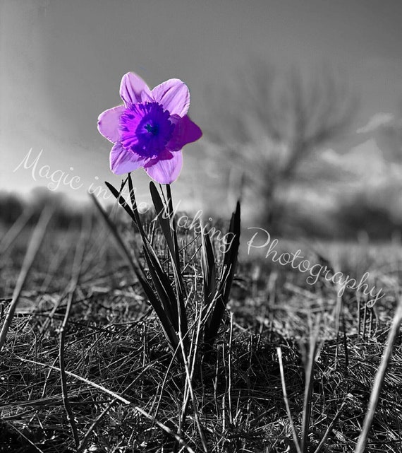 Color in the straw