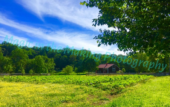 Farm Fantasy