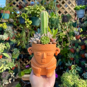 May include: A terracotta planter shaped like a human face with geometric designs, holding a variety of succulents and a cactus.