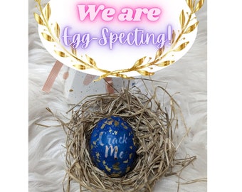 Pregnancy Announcement, Gender Reveal, Baby Announcement, Grandparent announcement, Unique Personalized Announcement, Chicken Egg Gift