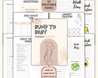 Pregnancy Organizer, Pregnancy Planner Printable, Printable Pregnancy Journal, Expecting Mom Kit, From Bump to baby, Bump Journal, baby plan