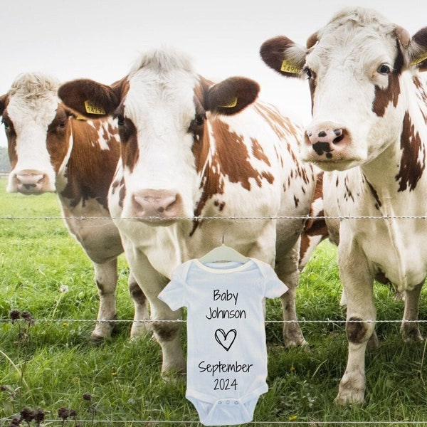 Neutral Pregnancy Announcement Digital | Digital Baby Announcement Farm | Cow Field Pregnancy | Download Social Media Facebook Instagram
