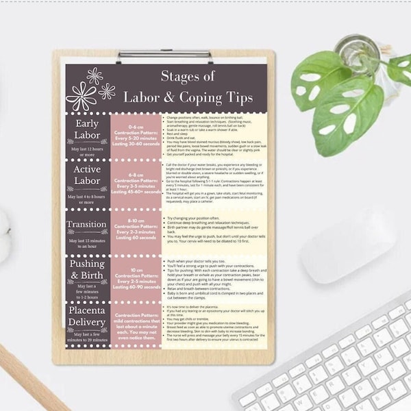 Phases of Labor & Coping Tips Handout Reference Printable, Childbirth Birth Class Teaching Aide Education, Birth Process,