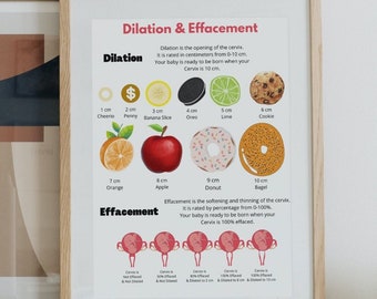 Cervical Dilation Chart Handout, Cervical dilation tool, cervical dilation wheel, Childbirth Birth Class Education, Birth class teaching