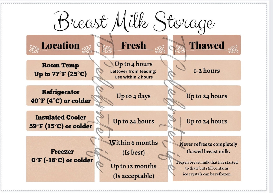 Breast Milk Storage Printable Digital Download CDC Guidelines - Etsy