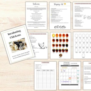May include: A collection of printable guides and checklists for incubating chicken eggs. The main guide is titled "Incubating Chickens" and includes a 21-day guide. Other pages include a shopping list, a calendar, and incubation details.