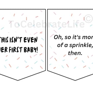 Schitt&#39;s creek baby sprinkle banner, Schitt&#39;s Creek baby shower, Sprinkle bunting PDF, Baby Sprinkle Banner, Baby Sprinkle Signs
