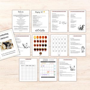 May include: A collection of printed pages with the title "Incubating Chickens" and other documents. The cover page shows chicks and eggs. Other pages include a shopping list, a calendar, and diagrams of chicken eggs. The pages are arranged on a light wood-grain surface.