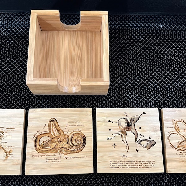 Ear Anatomy Coasters 4 pack (Bamboo)