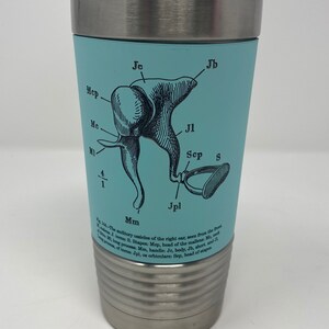 20oz Tumbler with Ear Ossicles engraved on the silicone sleeve.