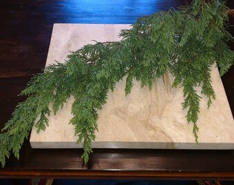 Set of two, 24 or 36in Live Green Juniper Evergreen Branches, Wedding or Christmas pine tree home decor