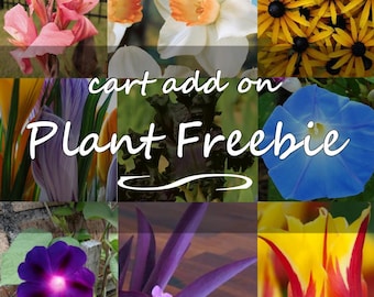 Free Plant Gift with Purchase! Add-on for your cart