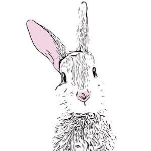 May include: A white rabbit with pink ears and a black nose. The rabbit is looking directly at the viewer.