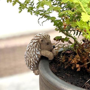 May include: A small, brown, textured hedgehog figurine perched on the rim of a dark grey planter. The hedgehog has detailed quills with white highlights, a pointed snout, and a black nose, positioned as if it is looking into the green plant.