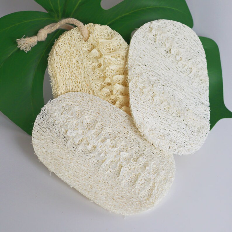 Natural Loofah Kitchen Sponge Zero Waste Dish Sponge Etsy
