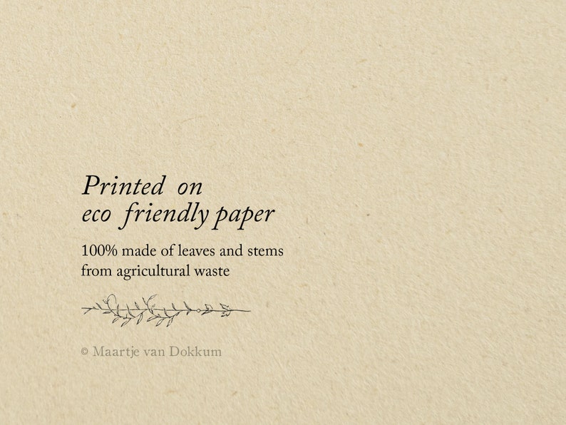 May include: A textured beige paper surface featuring black printed text that reads: Printed on eco friendly paper, 100% made of leaves and stems from agricultural waste, with a small botanical line drawing and the name Maartje van Dokkum.
