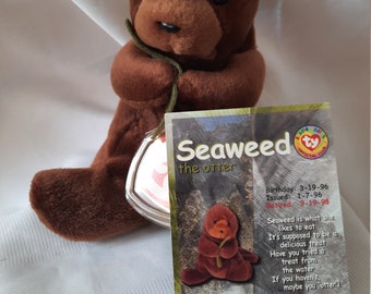 Ty Seaweed Seeotter "Rare"