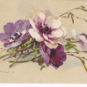 Coppia di cartoline antiche: Ipomoea e papavero in viola di Catharina Klein