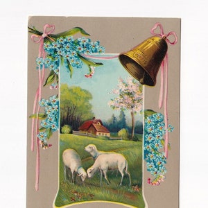 Agnelli al pascolo e campanellino con nontiscordardimé, cartolina antica tedesca lucida, 1911