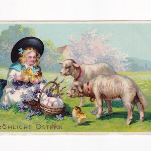 Girl with lambs and chicks, glossy antique German postcard, 1909