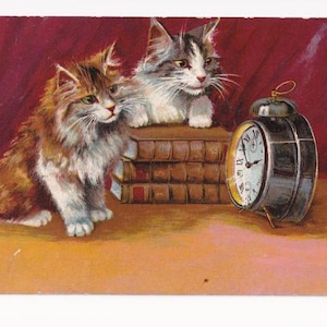 Maurice Boulanger (?): Katzen hören Wecker klingeln, antike Postkarte, 1907 versendet
