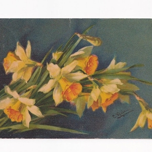 Catharina Klein: Narzissen in Gelb-Weiss, antike deutsche Postkarte, 1920
