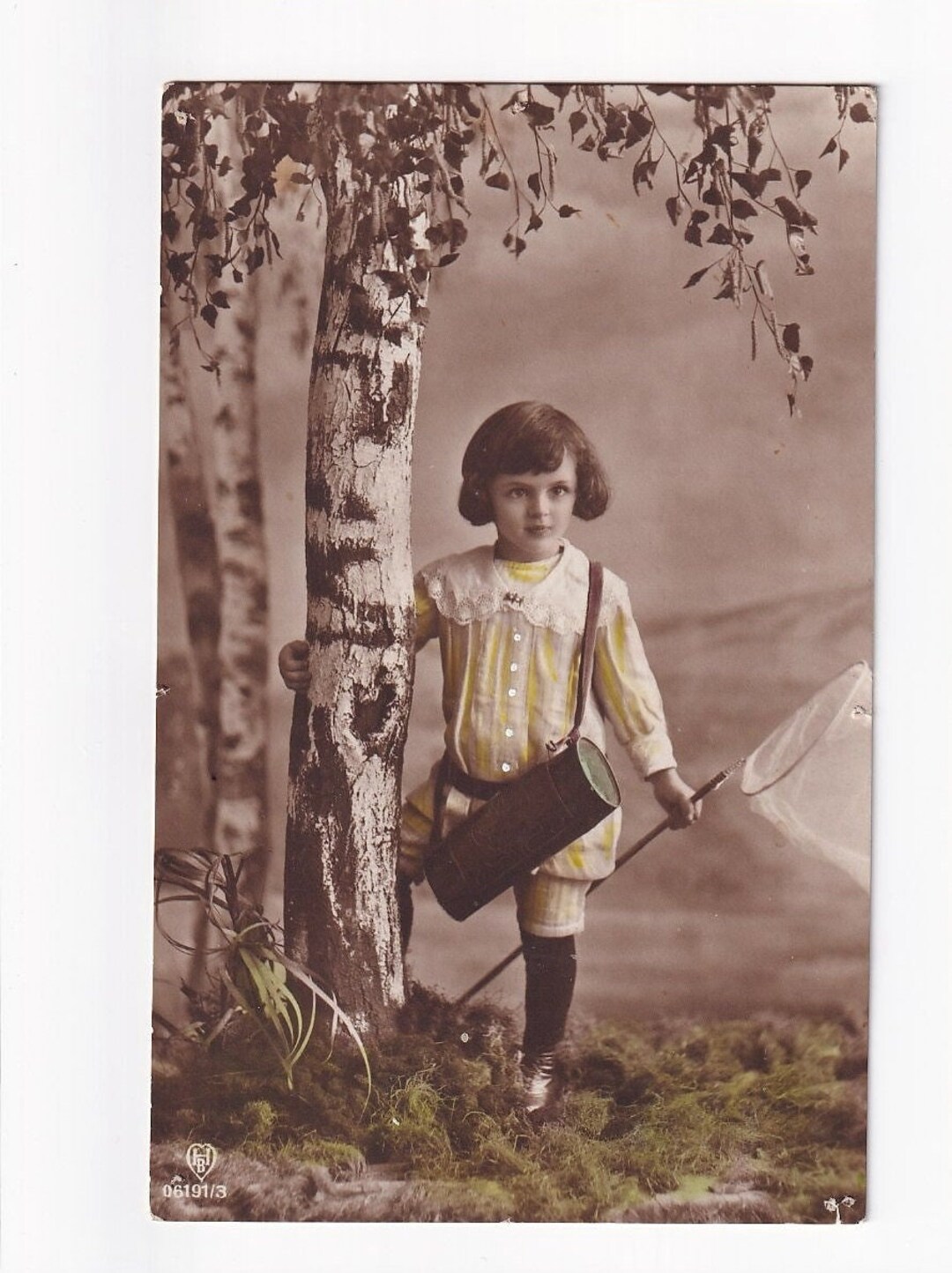 German Postcard Circa 1915: Boy With Botanical Drum and Butterfly