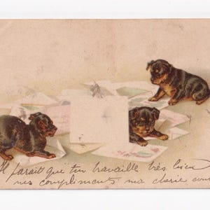 Helena Maguire (?): Cachorros jugando con papelería, postal antigua, enviada en 1902