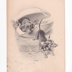 CR: Due bassotti che escono dall'uovo di Pasqua, antica cartolina austriaca, spedita nel 1907