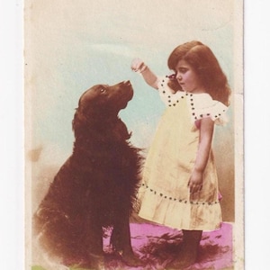 Una ragazza offre un dolcetto a un setter irlandese, cartolina antica, spedita nel 1907
