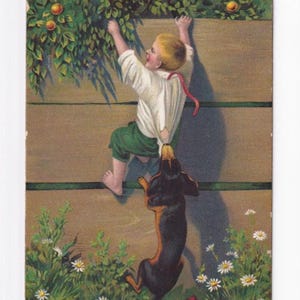 Teckel attrapant la chemise d'un garçon, carte postale allemande ancienne, envoyée en 1913