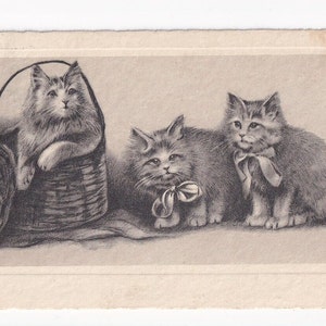 Gatti con fiocchi e cestino, antica cartolina tedesca