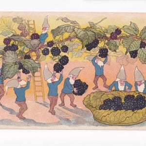 Ernst Kreidolf: Zwerge im Herbst bei der Brombeerernte, antike Schweizer Postkarte, 1919 versendet