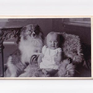 Überraschtes Baby mit aufgerichtetem Hund, dänisches Visitfoto (Adolf Christian Andresen, Sonderborg)