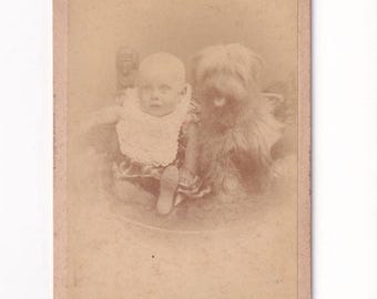 Piccolo ritratto fotografico: Bambino con cane (Hans Riemann, Herford, Germania)