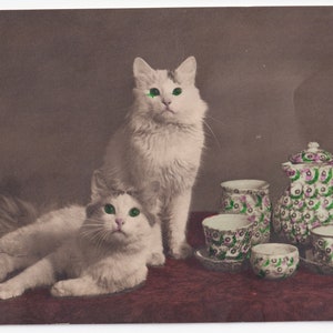 Gatos en la mesa de café, postal alemana antigua