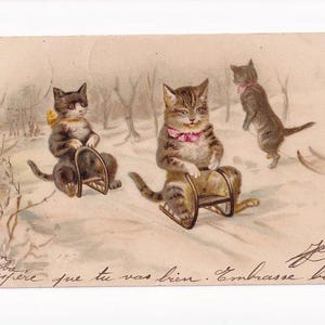 Helena Maguire (?): Schlitten fahrende Katzen, antike deutsche Postkarte, 1904 versendet