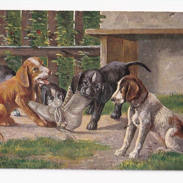 Puppies playing with women's boots, signed antique postcard from Germany by August Müller (Munich), 1910