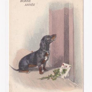 Perro salchicha con carta delante de la puerta, postal austriaca antigua, enviada en 1906