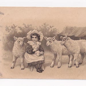 Mädchen mit Lämmern und Äpfeln, antike deutsche Postkarte, 1902 versendet