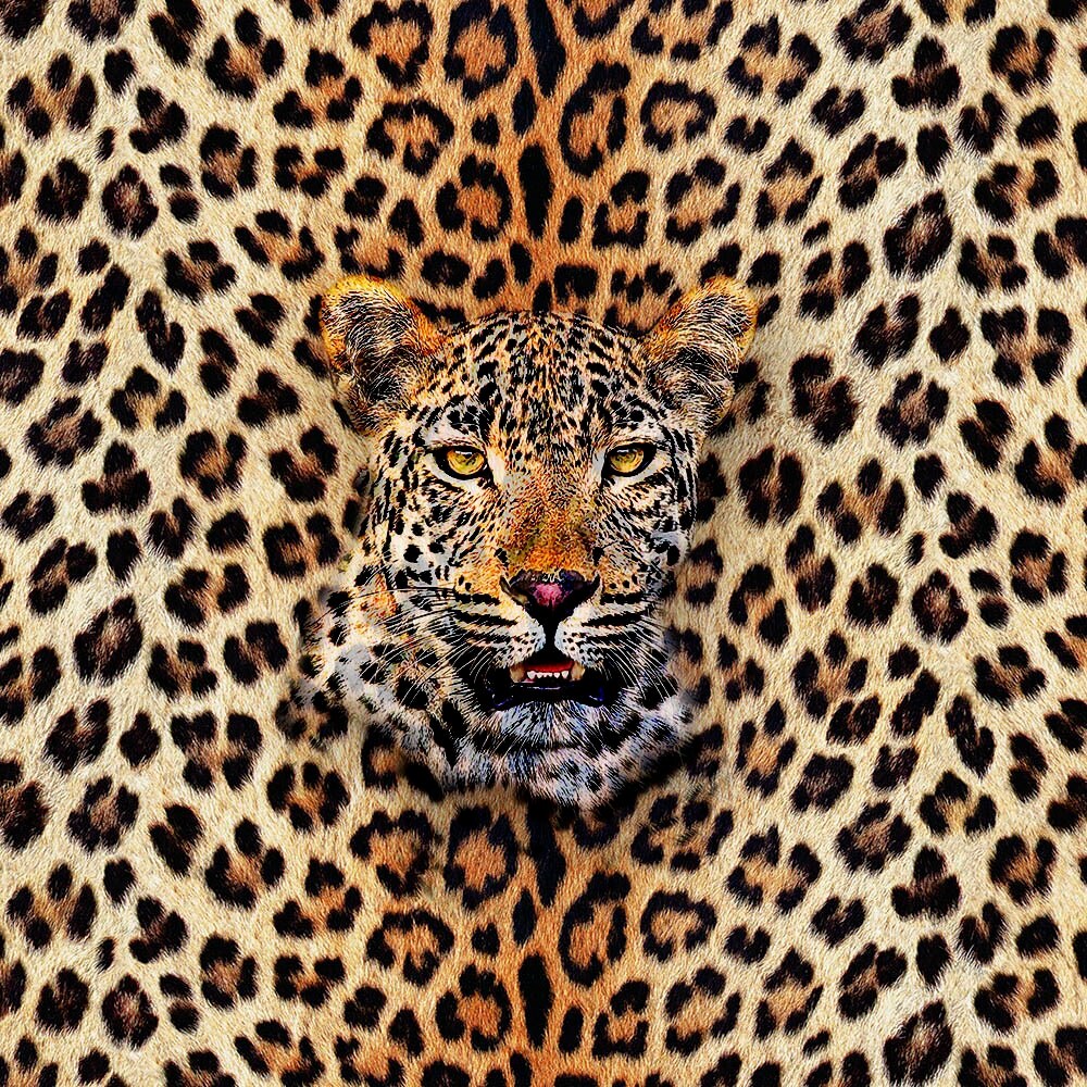 4 Different Leopard Print Panels Polyester Upholstery Fabric 45x45 Cm ...