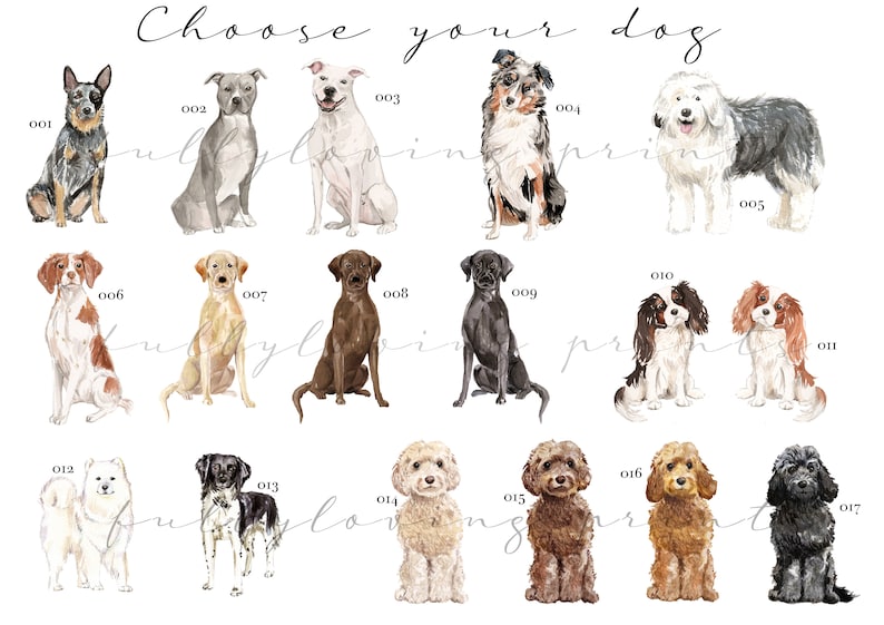 Birthday Card from the Dog Personalised Birthday Cards Favourite Human Dog Mum Dog Dad Dog Lovers Gifts Puppy Cards Pets image 3