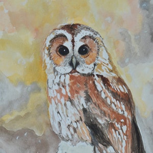 Watercolor Painting Owl in Winter owl painting wildlife portraits image 1