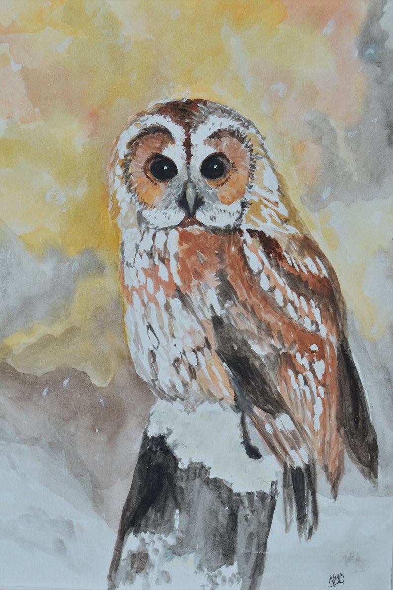 Watercolor Painting Owl in Winter owl painting wildlife portraits image 1